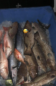 Explore Florida Fishing Haul